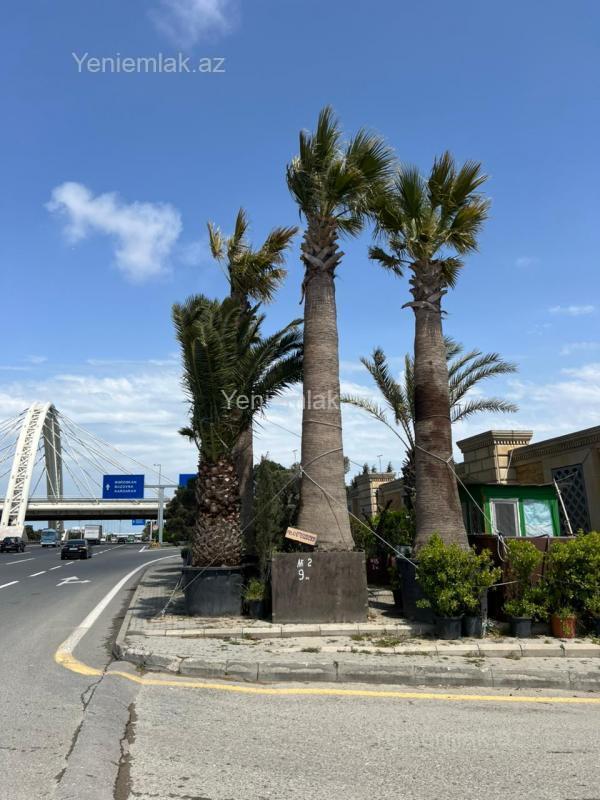 4 otaqlı Həyət evi / Villa, Xəzər rayonu, Bakı