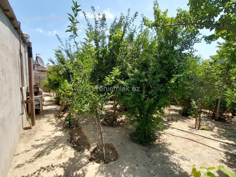 4 otaqlı Həyət evi / Villa, Qurd dərəsi, Sumqayıt