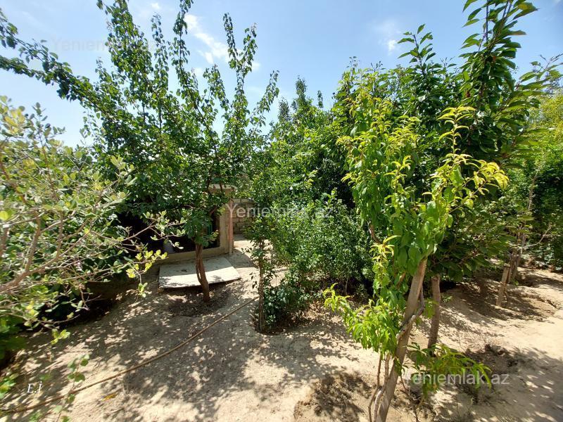 4 otaqlı Həyət evi / Villa, Qurd dərəsi, Sumqayıt
