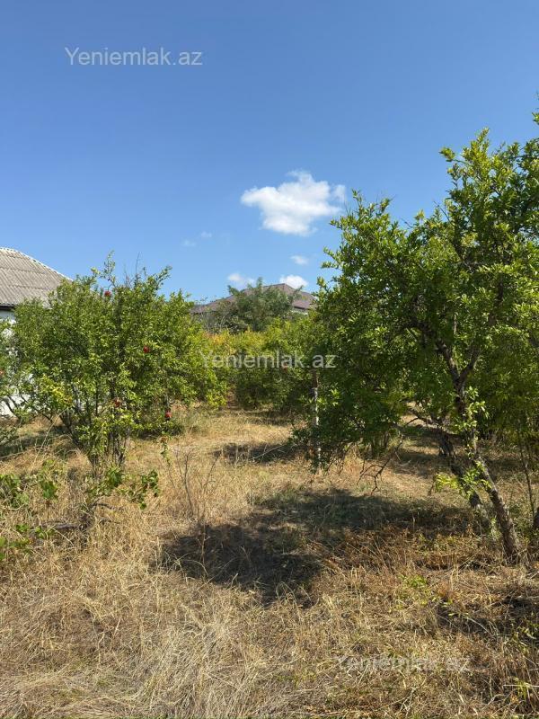 4 otaqlı Həyət evi / Villa, Ağsu