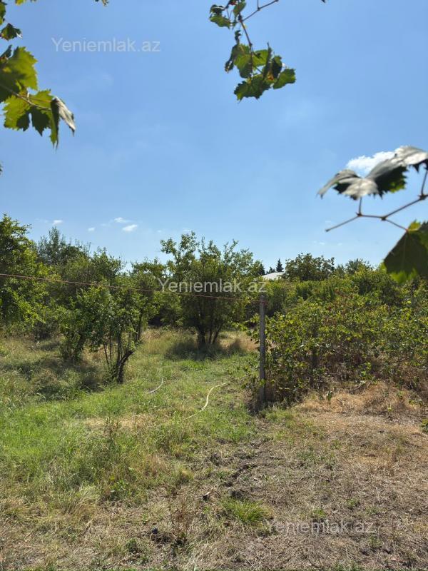 4 otaqlı Həyət evi / Villa, Ağsu