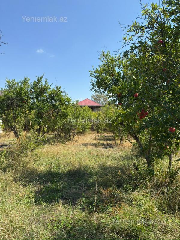 4 otaqlı Həyət evi / Villa, Ağsu