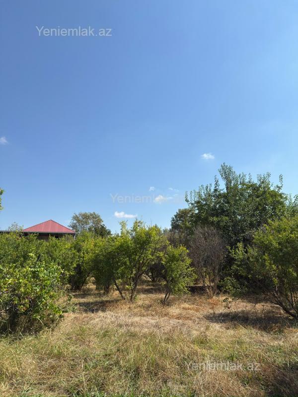 4 otaqlı Həyət evi / Villa, Ağsu
