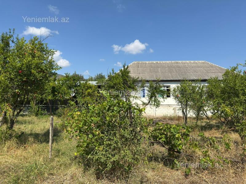 4 otaqlı Həyət evi / Villa, Ağsu