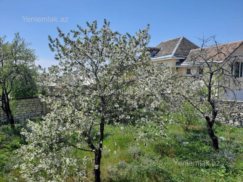 4 otaqlı Həyət evi / Villa, Şəki