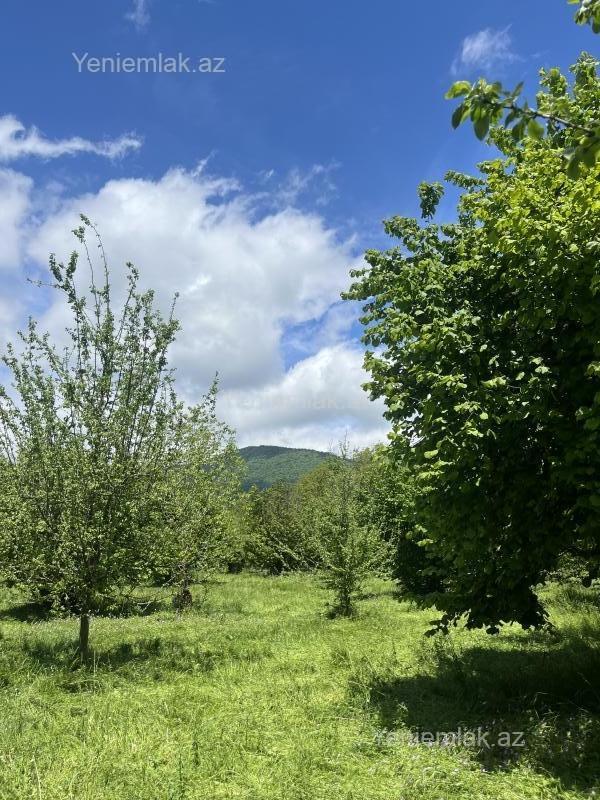 Torpaq sahəsi, Qəbələ
