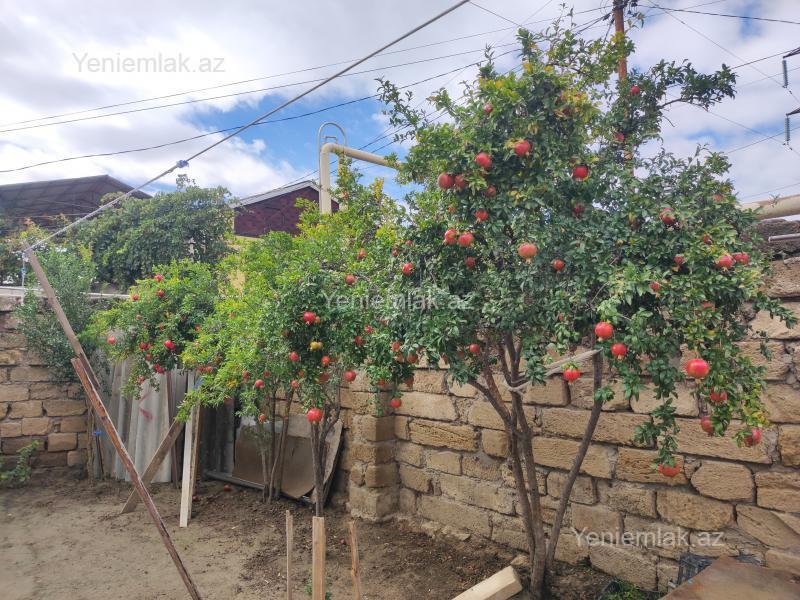 3 otaqlı Həyət evi / Villa, Binəqədi rayonu, Bakı