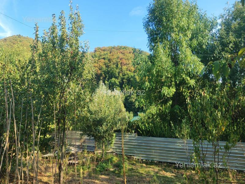 Torpaq sahəsi, İsmayıllı