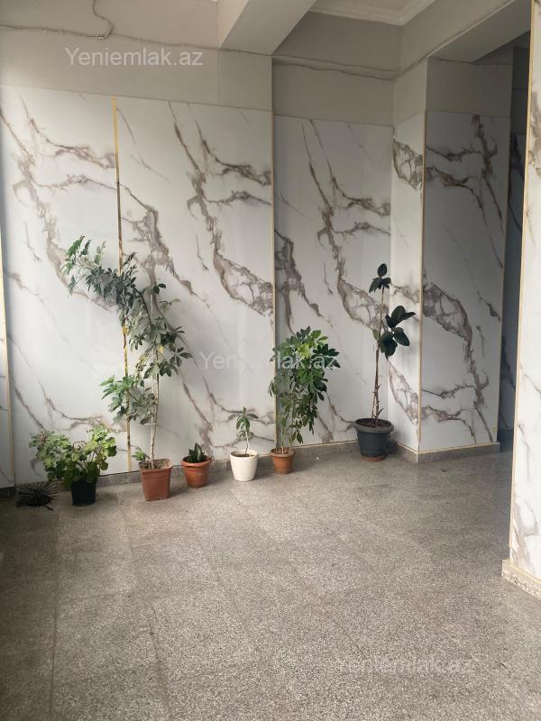 3 otaqlı Bina evi menzil, Nərimanov rayonu, Bakı