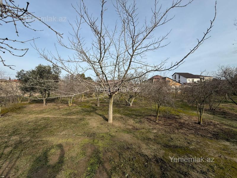 Torpaq sahəsi, Xəzər rayonu, Bakı