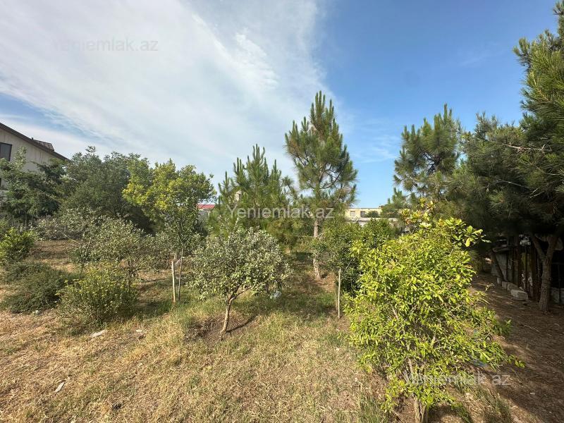 Torpaq sahəsi, Xəzər rayonu, Bakı