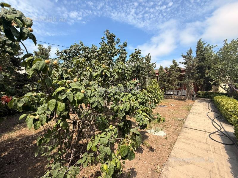 Torpaq sahəsi, Xəzər rayonu, Bakı