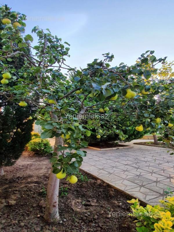 5 otaqlı Həyət evi / Villa, Xəzər rayonu, Bakı