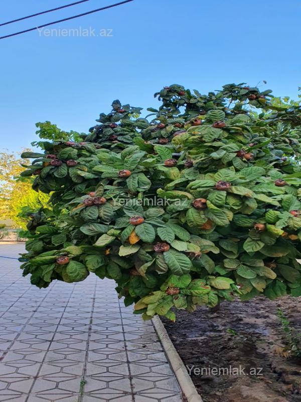 5 otaqlı Həyət evi / Villa, Xəzər rayonu, Bakı