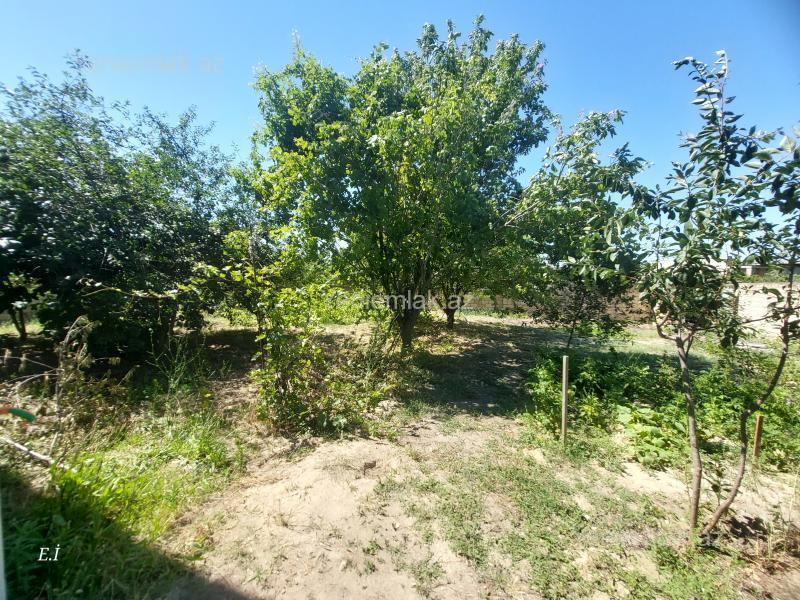 5 otaqlı Həyət evi / Villa, Saray, Abşeron