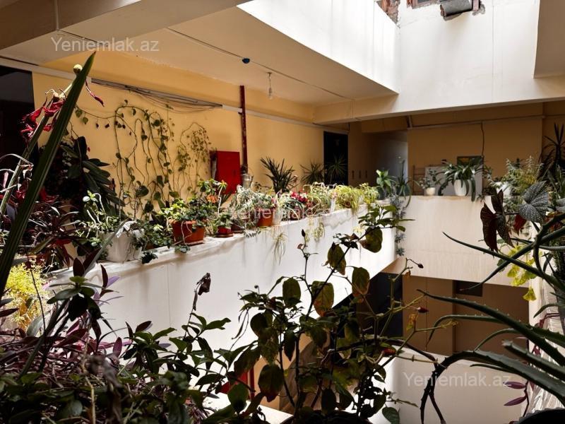 2 otaqlı Bina evi menzil, Səbail rayonu, Bakı