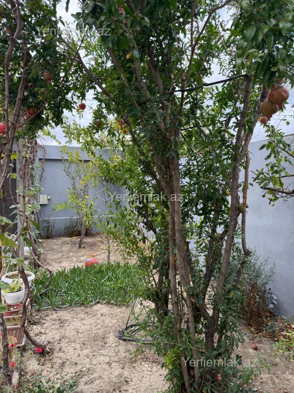 3 otaqlı Həyət evi / Villa, Saray, Abşeron