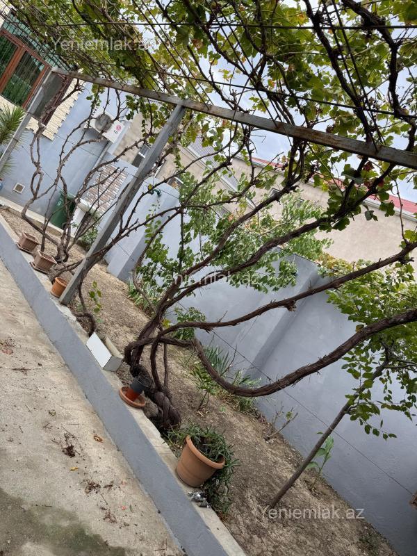 3 otaqlı Həyət evi / Villa, Saray, Abşeron
