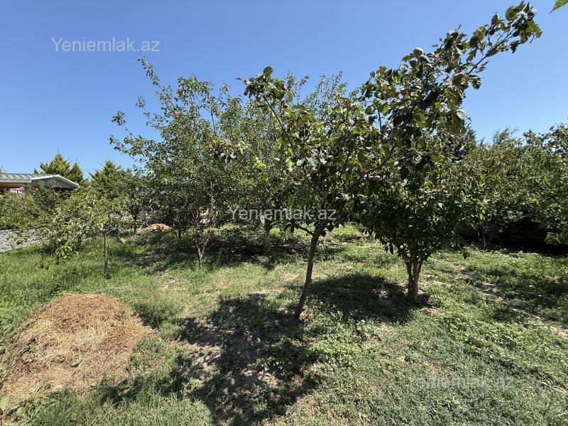 6 otaqlı Həyət evi / Villa, Novxanı, Abşeron