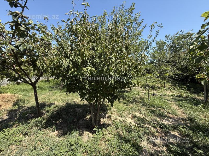 6 otaqlı Həyət evi / Villa, Novxanı, Abşeron