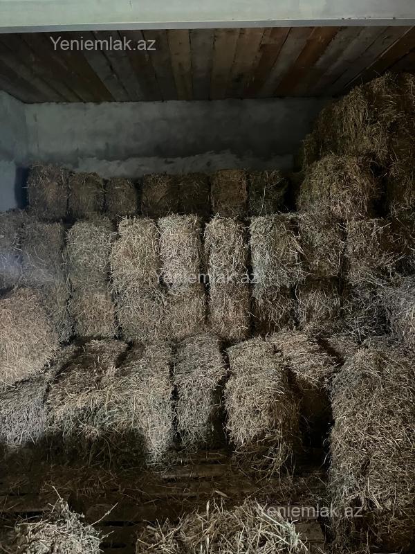 10 otaqlı Həyət evi / Villa, Biləsuvar
