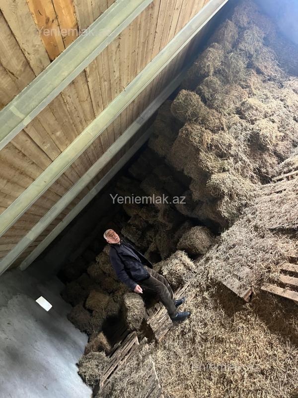 10 otaqlı Həyət evi / Villa, Biləsuvar