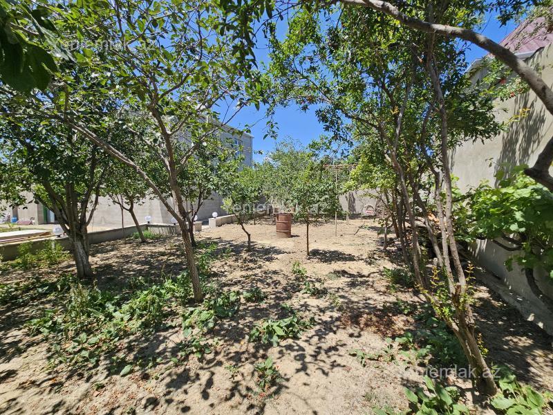 5 otaqlı Həyət evi / Villa, Saray, Abşeron