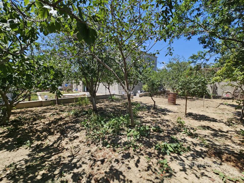5 otaqlı Həyət evi / Villa, Saray, Abşeron