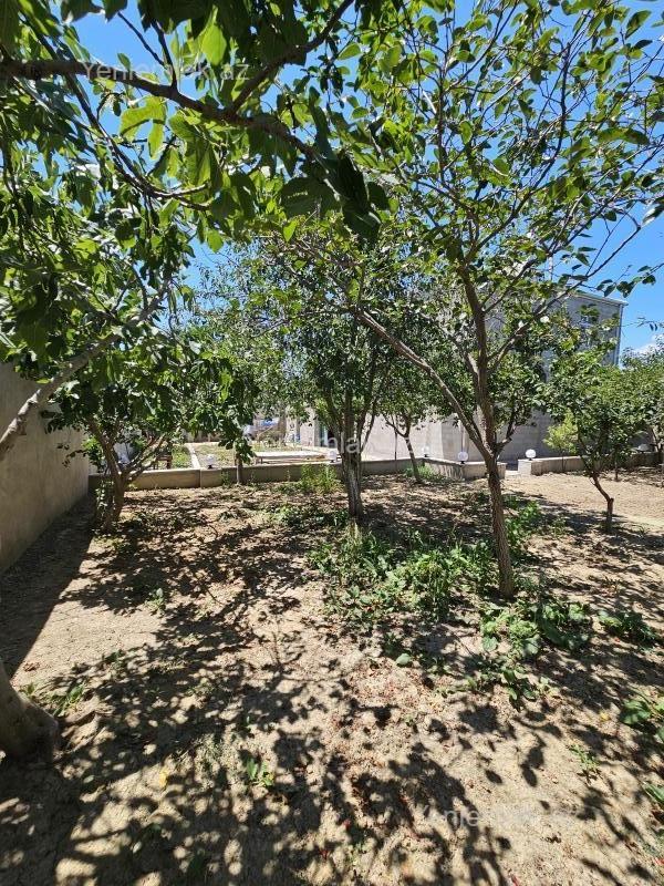 5 otaqlı Həyət evi / Villa, Saray, Abşeron