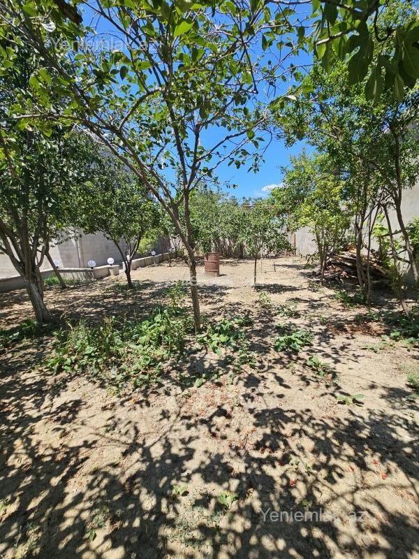5 otaqlı Həyət evi / Villa, Saray, Abşeron
