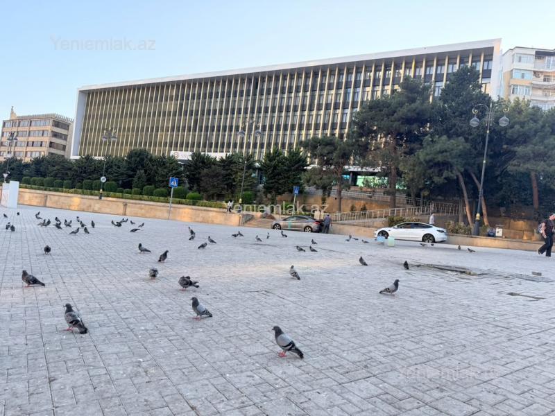 3 otaqlı mənzil, 100 m², Tağı Şahbazi, 285 000 AZN
