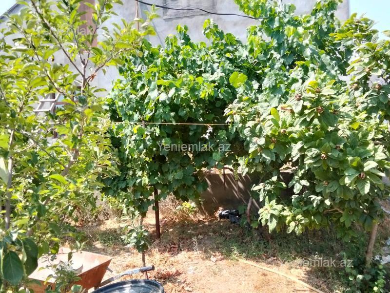 3 otaqlı Həyət evi / Villa, Xəzər rayonu, Bakı