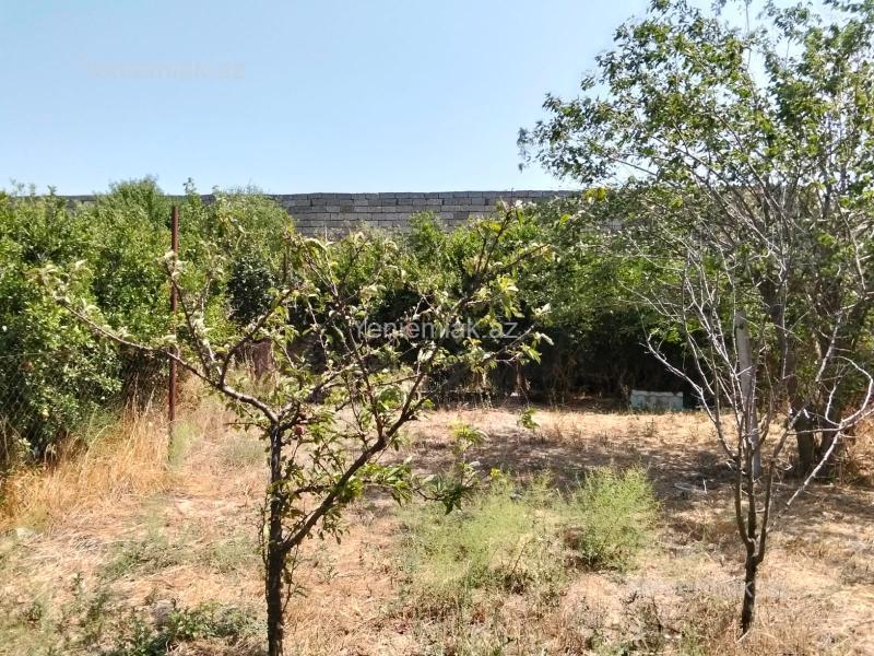 3 otaqlı Həyət evi / Villa, Xəzər rayonu, Bakı
