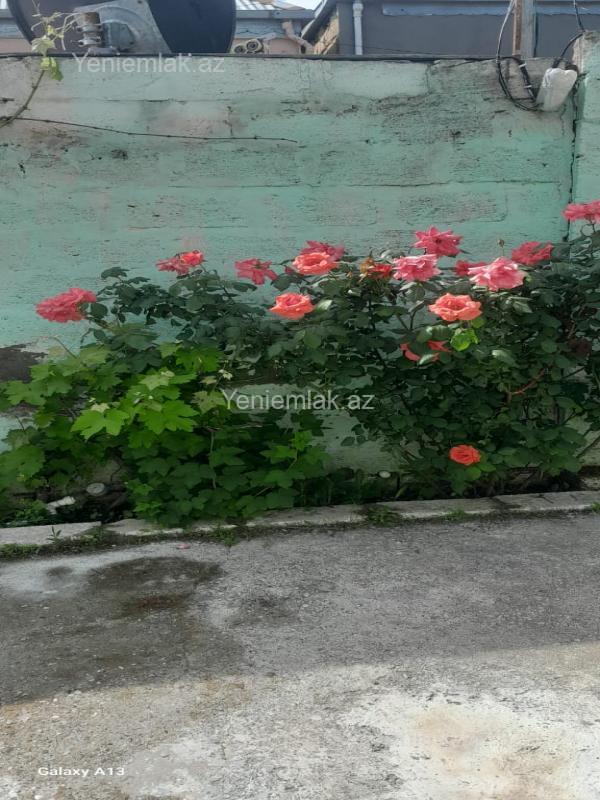 3 otaqlı Həyət evi / Villa, Saray, Abşeron