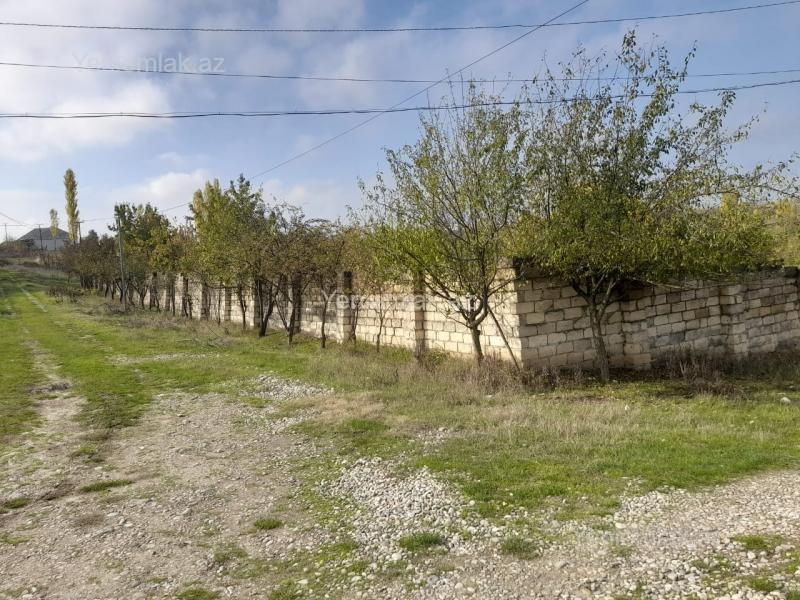 Torpaq sahəsi Satılır Qusar Salam Shexsi bagimdir 12 sotda yerlesir, dash hasarlidir, icinde 2 dene yashayis ucun ev