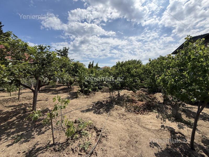6 otaqlı Həyət evi / Villa, Novxanı, Abşeron