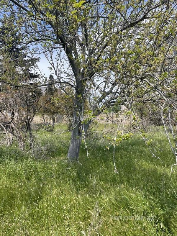 6 otaqlı Həyət evi / Villa, Novxanı, Abşeron