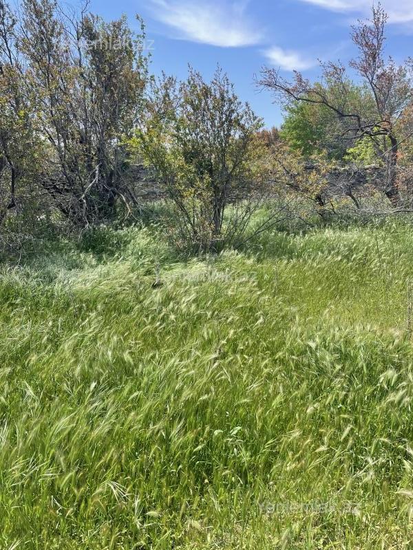 6 otaqlı Həyət evi / Villa, Novxanı, Abşeron