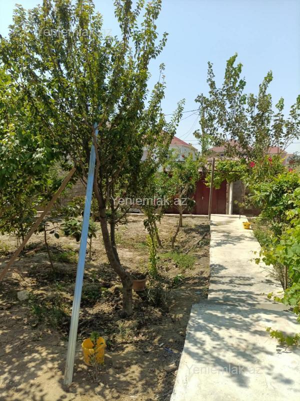 4 otaqlı Həyət evi / Villa, Saray, Abşeron