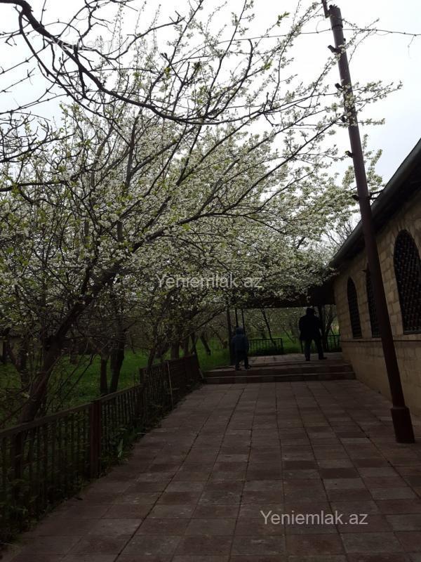 4 otaqlı Həyət evi / Villa, Şamaxı