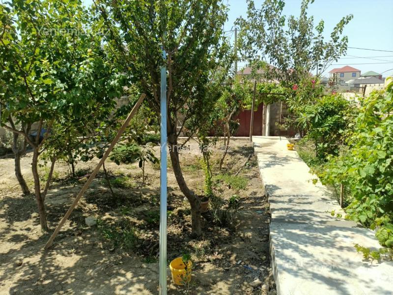 4 otaqlı Həyət evi / Villa, Saray, Abşeron